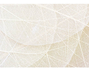 Fototapete Struktur von Blättern