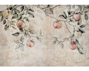 Fototapete von Zweigen eines Apfelbaums mit Äpfeln, für eine ländliche Atmosphäre.