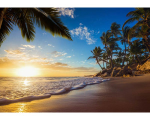 Tropische Szene mit Palmen an einem paradiesischen Strand, mit blauem Himmel und klarem Wasser im Hintergrund.
