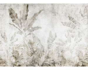 Fototapete mit einem kontrastreichen Bild von tropischen Blättern vor einem Betonhintergrund, perfekt für einen modernen und natürlichen Look.