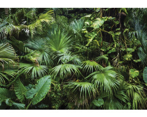 Tropischer Dschungel mit üppigen grünen Pflanzen und exotischen Blumen, Fototapete, die eine Oase der Ruhe und Natur schafft.