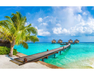 Fototapete eines tropischen Urlaubs auf den Malediven, mit Palmen am Strand und türkisfarbenem Meer.