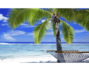 Fototapete mit einer Palme an einem sonnigen Strand, komplett mit Hängematte und klarem blauen Himmel, perfekt für einen tropischen Look.