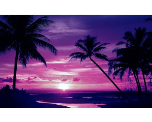 Tropischer Sonnenuntergang mit Palmen an der Küste, mit warmen orange- und rosafarbenen Tönen am Himmel und der Spiegelung im Wasser.