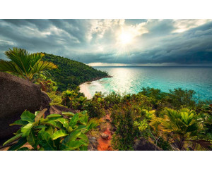Garten der Verführung - Fototapete mit einem bezaubernden Sonnenuntergang.