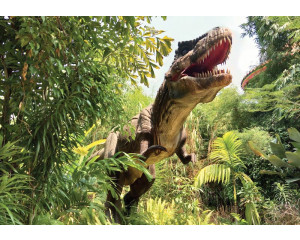 Fototapete Tyrannosaurus Rex im Dschungel mit einem beeindruckenden Dinosaurier inmitten einer lebendigen Dschungellandschaft.