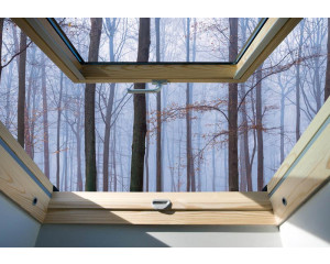 Fototapete mit einer Fensteransicht von Bäumen in einem Wald, natürlich beleuchtete Umgebung.