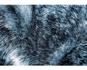 Detailliertes Fell verschiedener Tiere, originalgetreu abgebildet auf dieser weichen Fototapete.