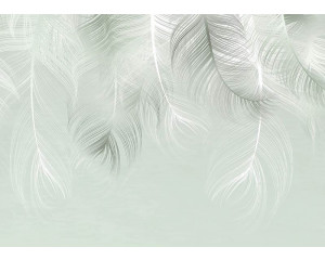 Fototapete Federn Traum