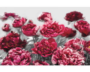 Seduction with roses, eine romantische Fototapete mit üppigen Blumen, perfekt für eine luxuriöse Atmosphäre.