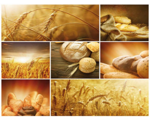 Fototapete mit frisch gebackenem Brot und Getreide, rustikales und stimmungsvolles Bäckereimotiv.