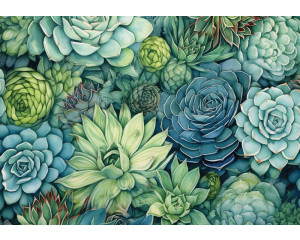 Fototapete mit Sukkulenten in einem grünen Farbton, der diese natürlichen Elemente kunstvoll darstellt.