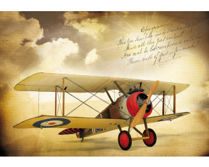 Vintage-Doppeldecker-Flugzeug auf Fototapete mit klassischem Look.