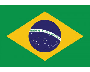 Fototapete mit der brasilianischen Flagge, leuchtend grün und gelb.