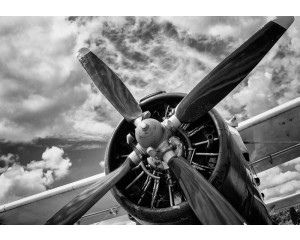 Fototapete im Industriestil mit einem Propeller und einem Stuntflugzeug.