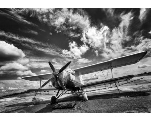 Fototapete eines schwarzen und weißen Flugzeugs, minimalistisches Design.