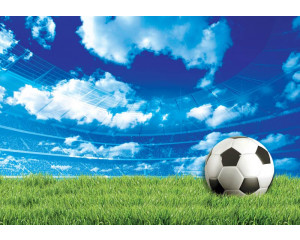 Fototapete eines Fußballfeldes in einem Stadion mit grünem Rasen für Kinder.