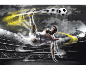 Die Fototapete zeigt einen Fußballer in Aktion bei einem Fallrückzieher auf einem Stadionfeld.