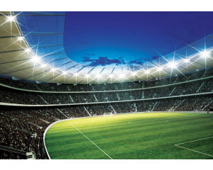 Ein Fußballstadion mit fußballspielenden Kindern ist auf dieser Fototapete zu sehen.