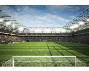 Fototapete eines vollen Stadions während eines Fußballspiels, Kinder sind konzentriert.