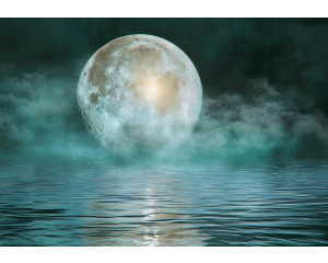 Fotobehang met een heldere volle maan die weerspiegelt in het stille water onder een nachtelijke hemel.