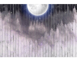 Fototapete eines Vollmondes über einem Wald mit Bäumen, aufgenommen vor einem hölzernen Hintergrund.