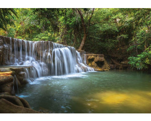 Wasserfall im Wald, ein Dschungelthema auf Fototapete.