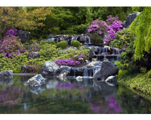 Fototapete Wasserfall im japanischen Garten