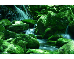 Fototapete mit Wasserfällen, die zwischen Felsen herabstürzen, umgeben von einem üppigen grünen Wald.