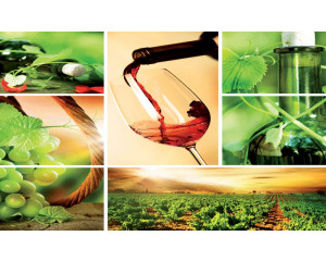 Fototapete mit roten Trauben und Weinflaschen in einem französischen Weinberg, stimmungsvolle Ansicht.