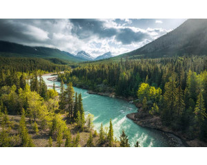 Wildes Kanada mit atemberaubender Aussicht auf die Rocky Mountains.