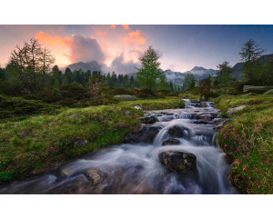 Wildparadies-Wasserfall in den Schweizer Alpen mit idyllischer Kulisse.