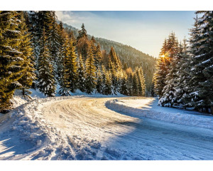 Fototapete eines Winterwaldes mit verschneiten Bäumen und einem Sonnenuntergang, der den Himmel in schönen Schattierungen färbt.
