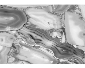 Eine abstrakte Fototapete mit einer Mischung aus Marmor- und Federmustern, die eine künstlerische und industrielle Atmosphäre schafft.