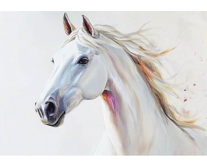 Fotobehang safari dieren avontuur met giraffe, zebra’s en savannelandschap in getekende stijl.