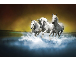 Fototapete von weißen Pferden, die im Wasser galoppieren, mit einem dynamischen und kraftvollen Look.
