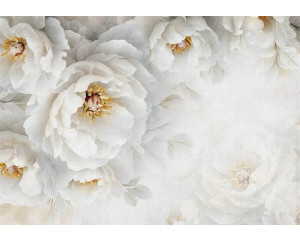 Fototapete mit üppigen weißen Pfingstrosen in voller Blüte, mit weichen Details und einer dezenten Farbpalette, die eine elegante und ruhige Atmosphäre schafft.