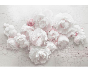 Fototapete mit weißen Pfingstrosen auf einer Backsteinmauer, mit einem floralen Vintage-Stil.