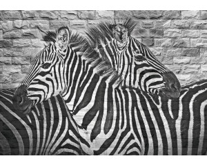 Zebra-Malerei auf einer Ziegelwand, Fototapete, die Tiere und Kunst zusammenbringt.