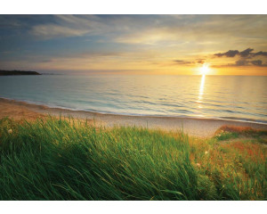 Fototapete von einem Meer bei Sonnenuntergang, mit einer ruhigen Strandkulisse.