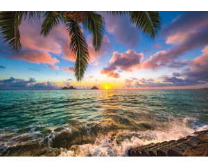 Sonnenuntergang über dem Meer mit einer Palme im Vordergrund, Fototapete, die eine warme und entspannende Atmosphäre schafft.