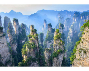 Fototapete des Zhangjiajie National Forest Park in China mit beeindruckenden Bergketten und Bergen inmitten üppiger Natur.