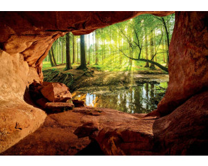 Fototapete eines sonnigen Waldes von einer Höhle aus gesehen mit einem heiteren und warmen Blick.