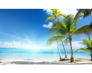 Sonniger Strand mit Palmen und strahlend blauem Meer, mit einer hellen Sonne, die Wärme ausstrahlt, Fototapete für eine exotische Atmosphäre.