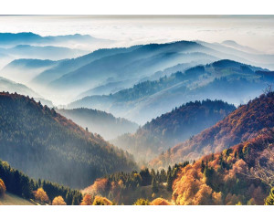 Fototapete aus dem Schwarzwald, wo Berge und Wälder eine üppige und beeindruckende Landschaft bilden.