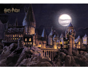 Eine Hogwarts-Fototapete bei Vollmond, auf der das kultige Schloss auf mysteriöse Weise vom Mond beleuchtet wird, umgeben von einem dunklen und bezaubernden Nachthimmel.