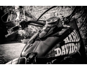 Harley Davidson Motorrad auf einer coolen Fototapete abgebildet.
