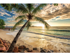 Fototapete eines Sonnenuntergangs an einem tropischen Strand mit Palmen und den letzten Strahlen der Sonne, die den Himmel rot und orange färben.