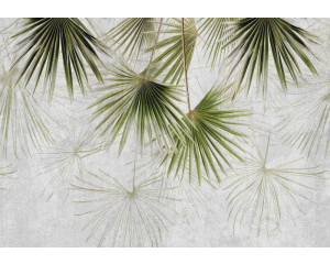 Fototapete mit exotischen Pflanzen auf Beton, mit einer Mischung aus Dschungel und Industrie.