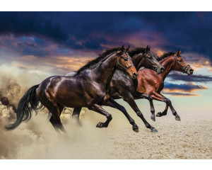 Fototapete von laufenden Pferden, dynamisch und kraftvoll.